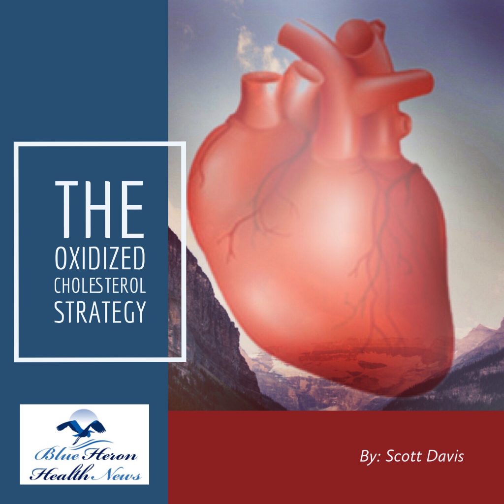 Cholesterol_Cover_squer-smaller